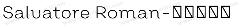 Salvatore Roman字体转换